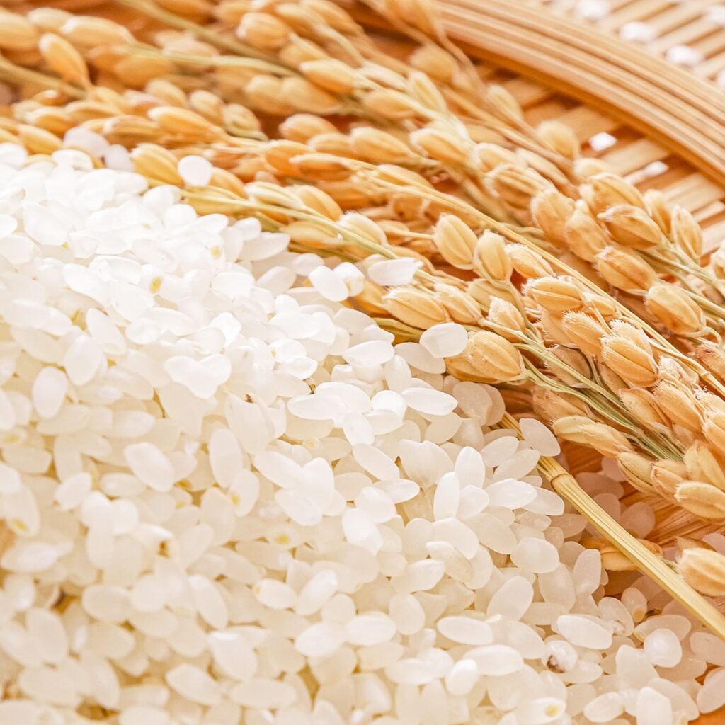 毎日食べたい、 優しさとおいしさを食卓に。